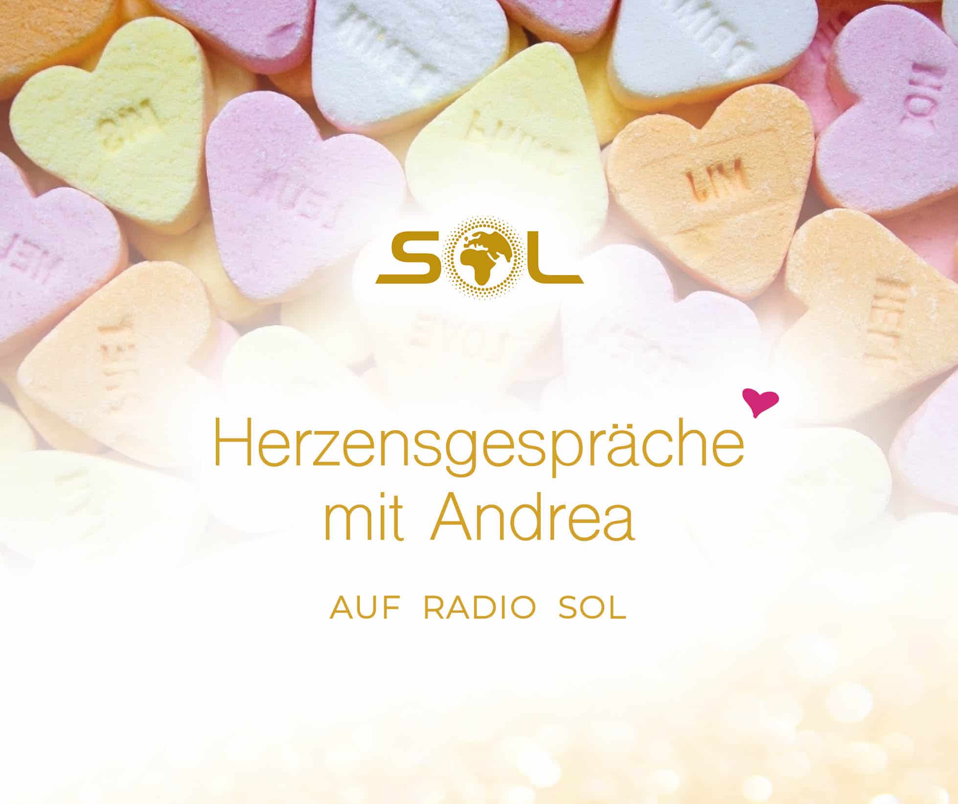 Radio SOL_Layout